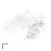 Small ribosomal subunit protein uS7 in PDB entry 1jgp, assembly 1, top view.