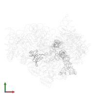 Small ribosomal subunit protein uS8 in PDB entry 1jgp, assembly 1, front view.