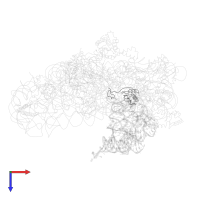 Small ribosomal subunit protein uS11 in PDB entry 1jgp, assembly 1, top view.