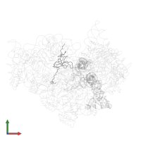 Small ribosomal subunit protein uS12 in PDB entry 1jgp, assembly 1, front view.