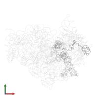 Small ribosomal subunit protein uS13 in PDB entry 1jgp, assembly 1, front view.