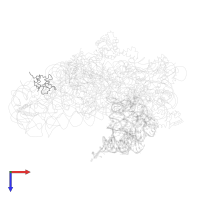 Small ribosomal subunit protein bS16 in PDB entry 1jgp, assembly 1, top view.