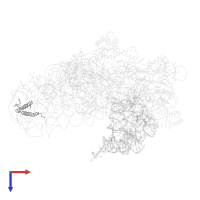 Small ribosomal subunit protein bS20 in PDB entry 1jgp, assembly 1, top view.