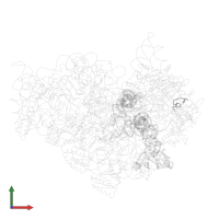 Small ribosomal subunit protein bTHX in PDB entry 1jgp, assembly 1, front view.