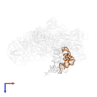 tRNA(Phe) in PDB entry 1jgp, assembly 1, top view.