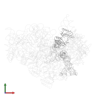 Small ribosomal subunit protein uS3 in PDB entry 1jgp, assembly 1, front view.