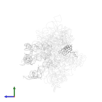 Small ribosomal subunit protein uS5 in PDB entry 1jgp, assembly 1, side view.