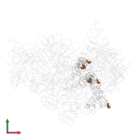 Modified residue PSU in PDB entry 1jgp, assembly 1, front view.