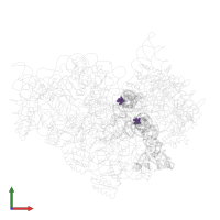 Modified residue 2MG in PDB entry 1jgq, assembly 1, front view.