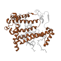 The deposited structure of PDB entry 1jgy contains 1 copy of Pfam domain PF00124 (Photosynthetic reaction centre protein) in Reaction center protein M chain. Showing 1 copy in chain B [auth M].