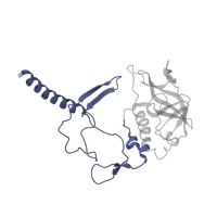 The deposited structure of PDB entry 1jgy contains 1 copy of CATH domain 4.10.540.10 (Photosynthetic Reaction Center; Chain H, domain 1) in Reaction center protein H chain. Showing 1 copy in chain C [auth H].