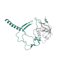The deposited structure of PDB entry 1jgy contains 1 copy of Pfam domain PF03967 (Photosynthetic reaction centre, H-chain N-terminal region) in Reaction center protein H chain. Showing 1 copy in chain C [auth H].