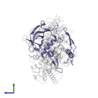 Reaction center protein H chain in PDB entry 1jgy, assembly 1, side view.