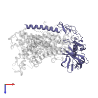 Reaction center protein H chain in PDB entry 1jgy, assembly 1, top view.