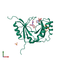 PDB entry 1jh7 coloured by chain, front view.