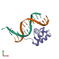 PDB entry 1jj8 coloured by chain, front view.