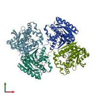 PDB entry 1jji coloured by chain, front view.
