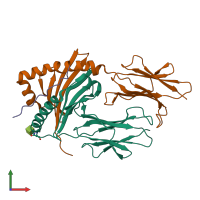 PDB entry 1jk8 coloured by chain, front view.