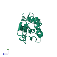 Lysozyme C in PDB entry 1jka, assembly 1, side view.