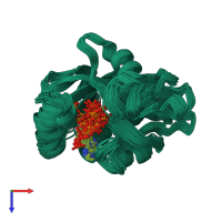 PDB entry 1jkn coloured by chain, ensemble of 30 models, top view.