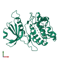 PDB entry 1jks coloured by chain, front view.