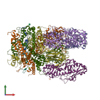 PDB entry 1jmu coloured by chain, front view.