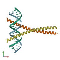 PDB entry 1jnm coloured by chain, front view.