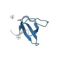 The deposited structure of PDB entry 1jo8 contains 1 copy of Pfam domain PF00018 (SH3 domain) in Actin-binding protein. Showing 1 copy in chain A.