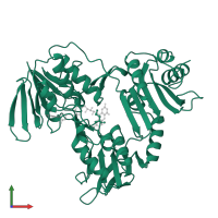 NADH peroxidase in PDB entry 1joa, assembly 1, front view.