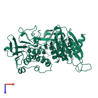 NADH peroxidase in PDB entry 1joa, assembly 1, top view.