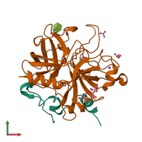 Hetero dimeric assembly 1 of PDB entry 1jou coloured by chemically distinct molecules, front view.