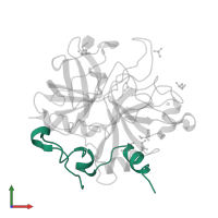 Thrombin light chain in PDB entry 1jou, assembly 1, front view.
