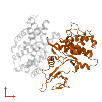 Cyclin-dependent kinase 6 in PDB entry 1jow, assembly 1, front view.