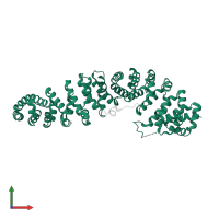 Catenin beta-1 in PDB entry 1jpp, assembly 2, front view.