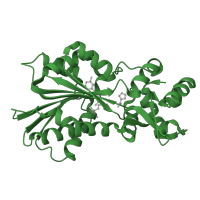 The deposited structure of PDB entry 1jqd contains 2 copies of SCOP domain 75261 (Histamine methyltransferase) in Histamine N-methyltransferase. Showing 1 copy in chain B.