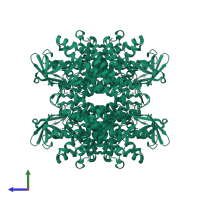 Short-chain specific acyl-CoA dehydrogenase, mitochondrial in PDB entry 1jqi, assembly 1, side view.
