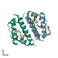 PDB entry 1jr8 coloured by chain, front view.