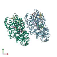 PDB entry 1jrz coloured by chain, front view.