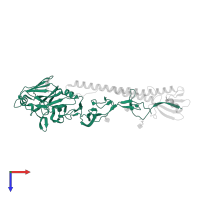 Hemagglutinin HA1 chain in PDB entry 1jsm, assembly 1, top view.