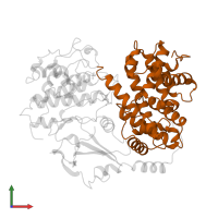 Cyclin-A2 in PDB entry 1jsu, assembly 1, front view.