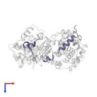 Cyclin-dependent kinase inhibitor 1B in PDB entry 1jsu, assembly 1, top view.