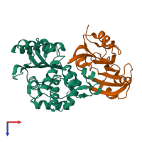 Hetero dimeric assembly 2 of PDB entry 1jtg coloured by chemically distinct molecules, top view.