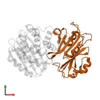 Beta-lactamase inhibitory protein in PDB entry 1jtg, assembly 1, front view.