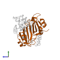 Beta-lactamase inhibitory protein in PDB entry 1jtg, assembly 1, side view.
