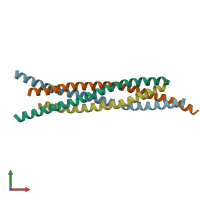 PDB entry 1jth coloured by chain, front view.
