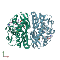 3D model of 1jtq from PDBe