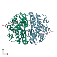 PDB entry 1jtu coloured by chain, front view.