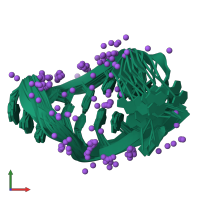 PDB entry 1jtw coloured by chain, ensemble of 14 models, front view.