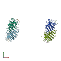 PDB entry 1jui coloured by chain, front view.
