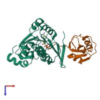 PDB entry 1jwa coloured by chain, top view.
